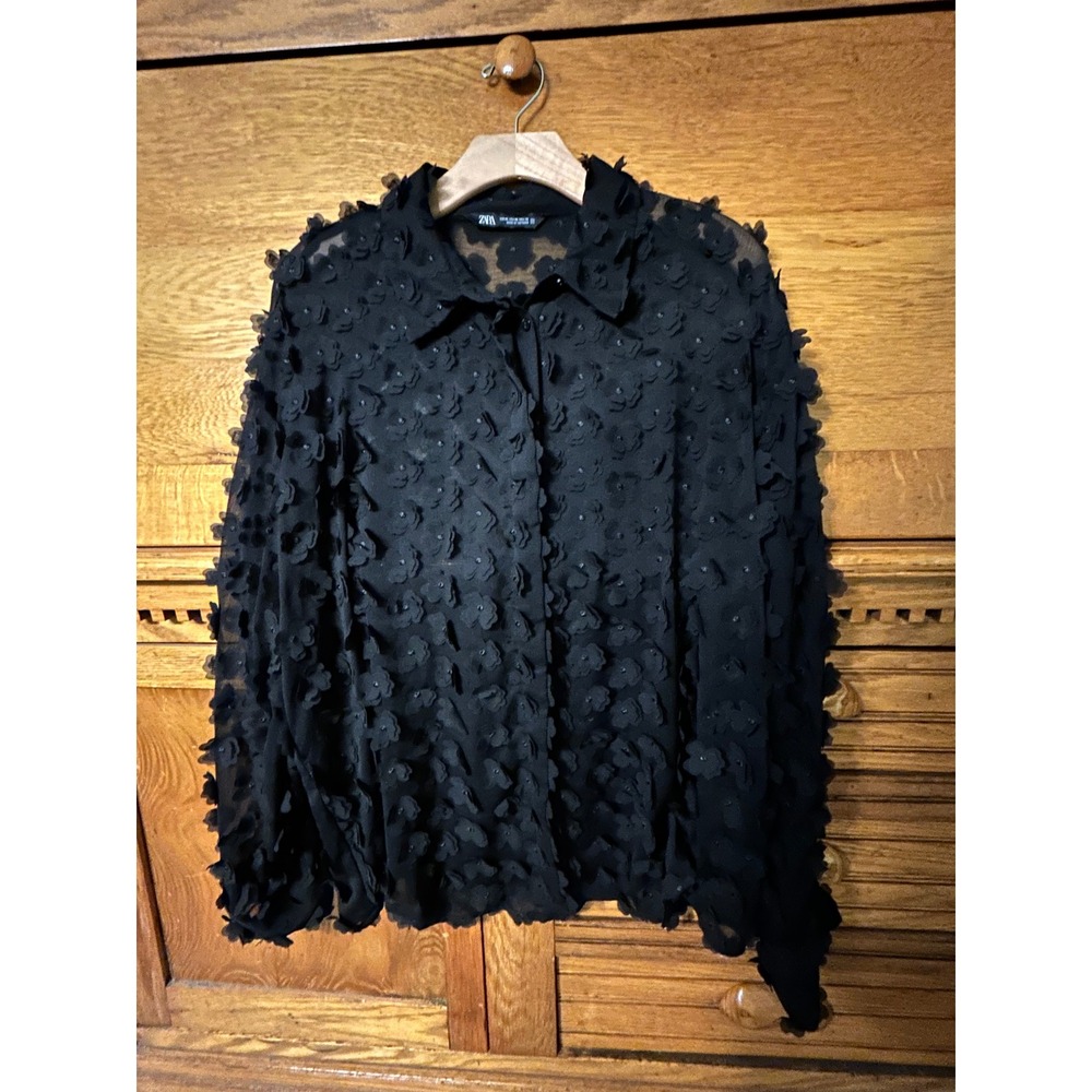 Zara Romantic Whimsigoth Black 3D Floral Applique Sheer Mesh Button Down Top